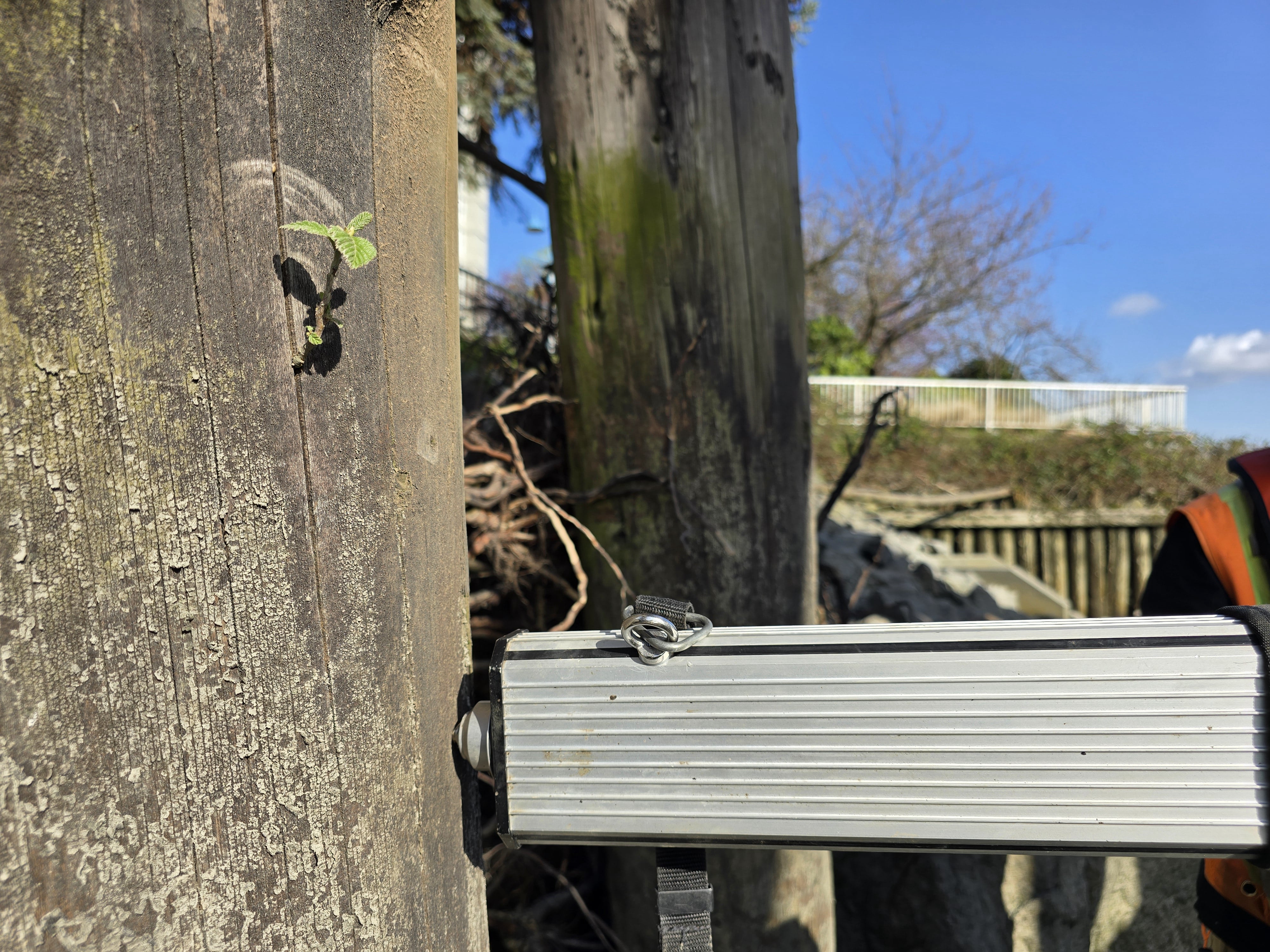 Timber bridge inspection British Columbia Municipal infrastructure inspection training Bridge condition assessment field inspection Timber structure resistograph testing Culvert and bridge inspection BC Infrastructure asset assessment Canada
