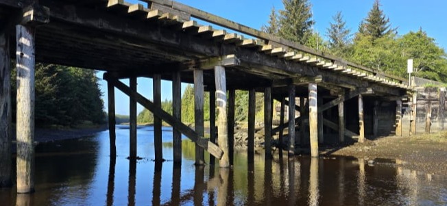 Timber bridge inspection British Columbia  Municipal infrastructure inspection training  Bridge condition assessment field inspection  Timber structure resistograph testing  Culvert and bridge inspection BC  Infrastructure asset assessment Canada Haida Gwaii Chown River Bridge